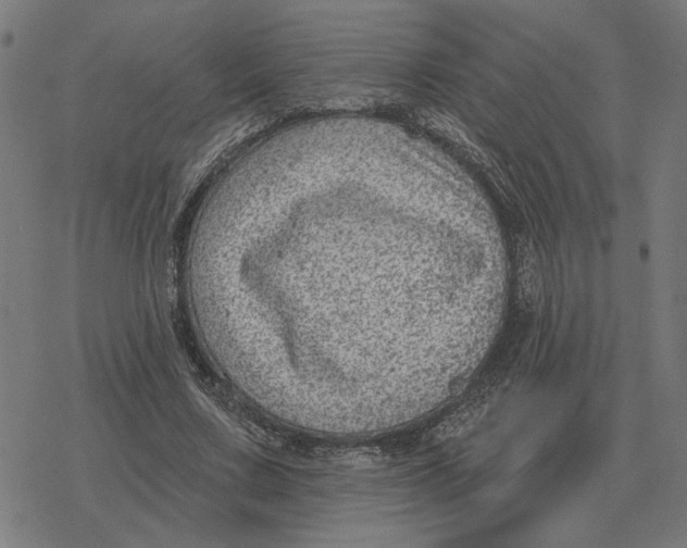 X0000077320683200611101458