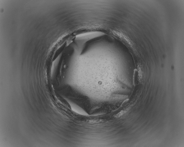 X0000077320684200611101458