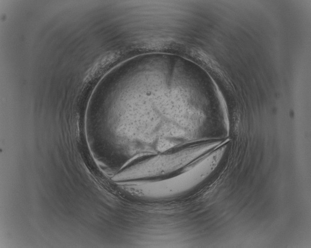 X0000077320685200611101458