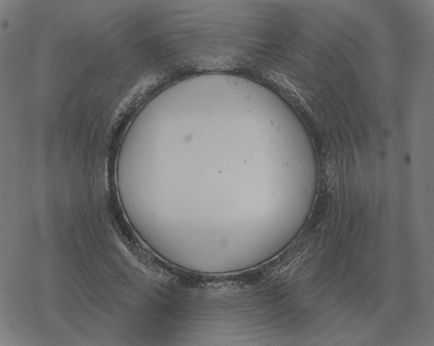 X0000077320686200611101458