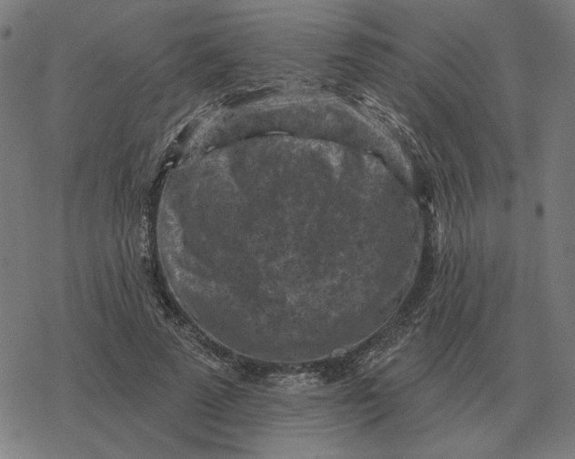 X0000077320689200611101458