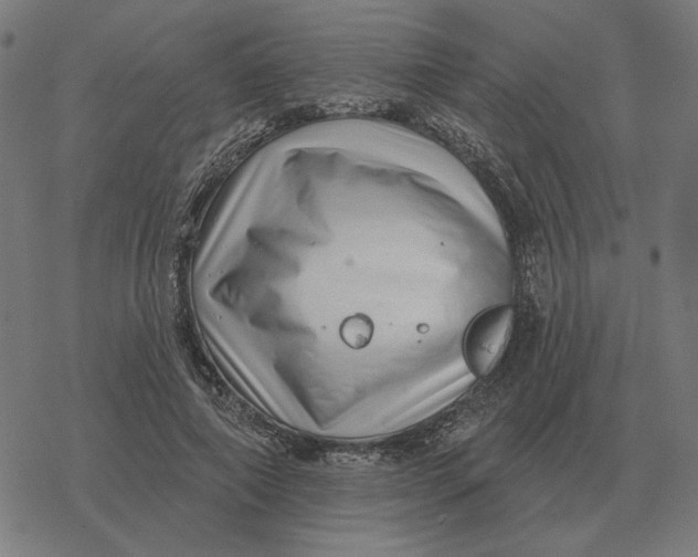 X0000077320690200611101458