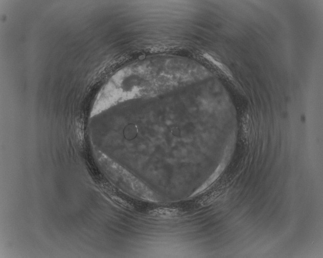 X0000077320691200611101458