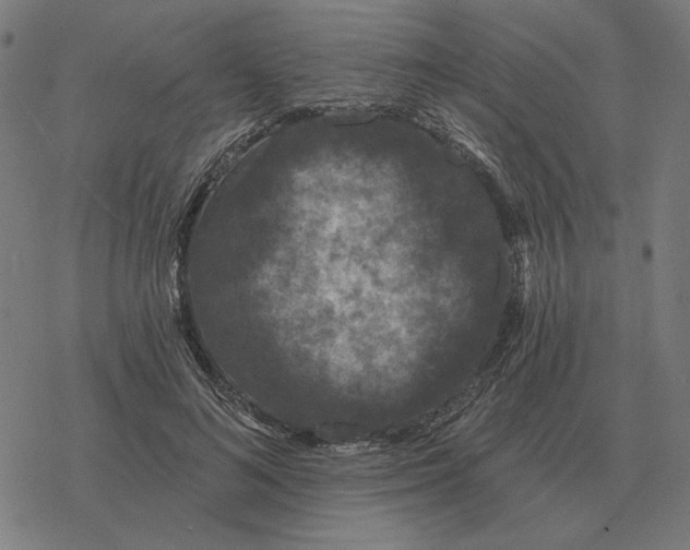 X0000077320692200611101458