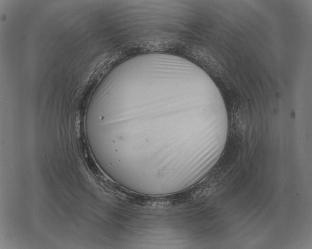 X0000077320694200611101458