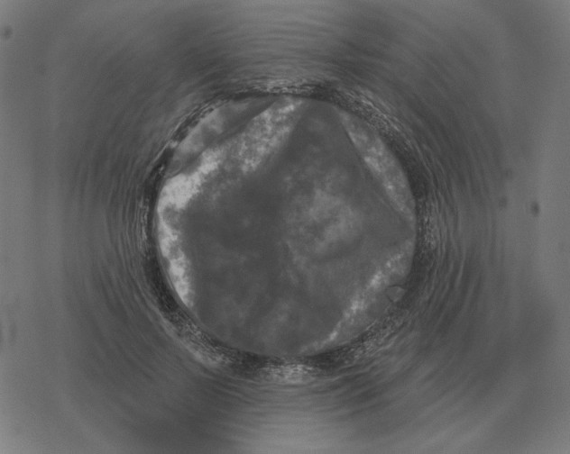 X0000077320695200611101458