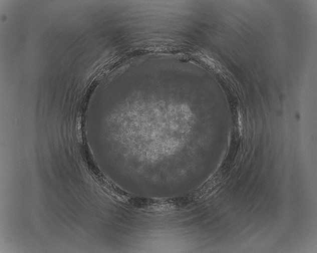 X0000077320696200611101458