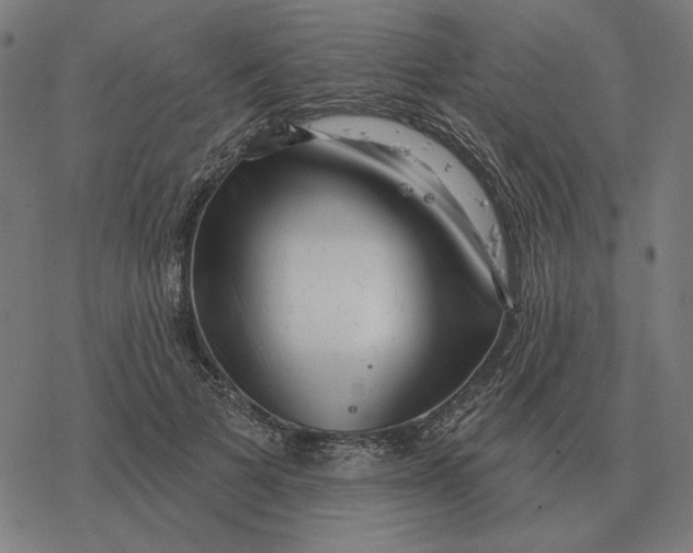 X0000077320697200611101458