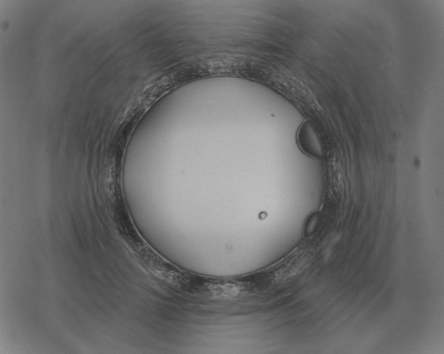 X0000077320698200611101458