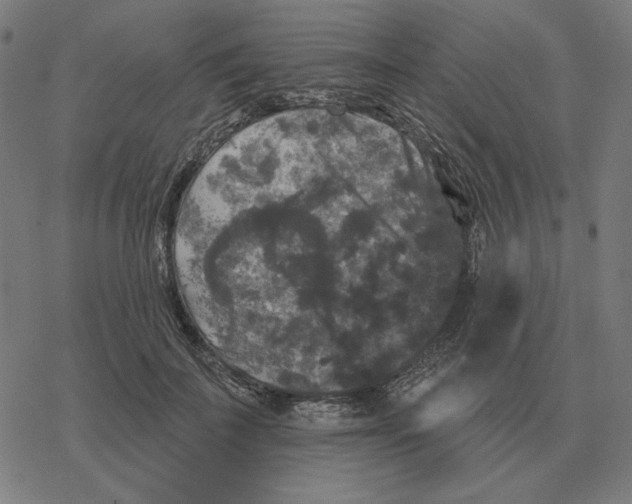 X0000077320699200611101458