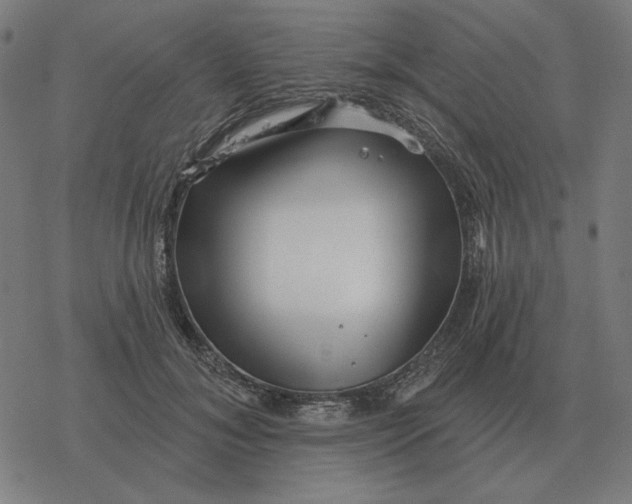 X0000077320700200611101458