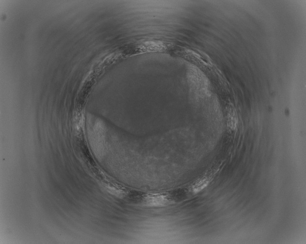 X0000077320701200611101458