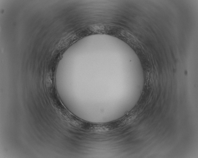 X0000077320702200611101458