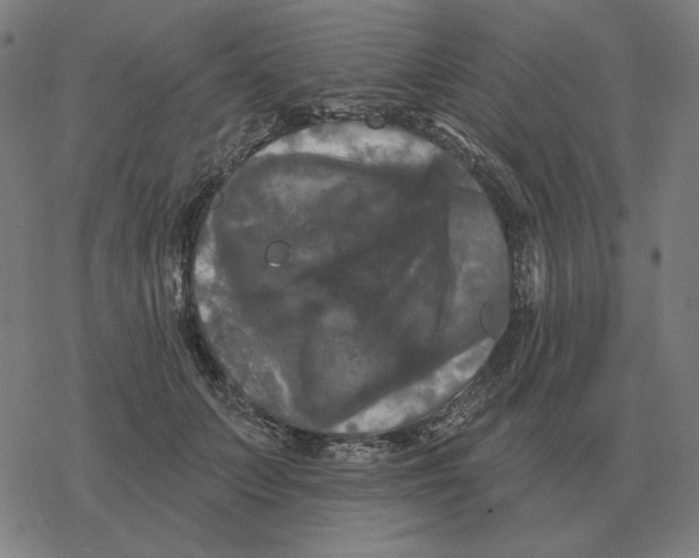 X0000077320703200611101458