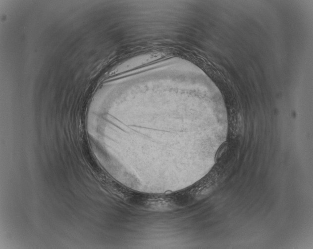 X0000077320704200611101458