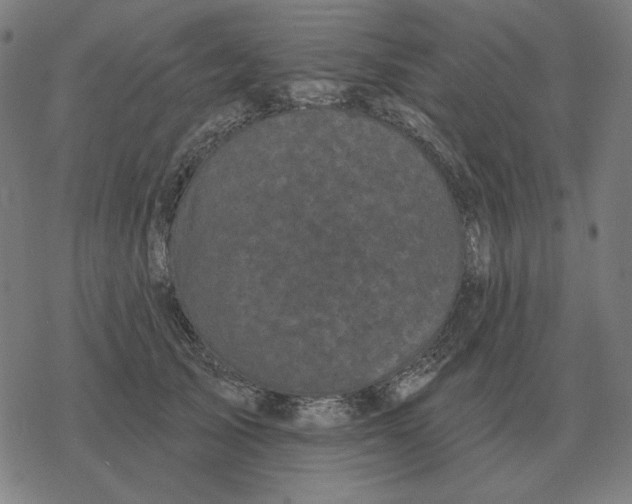 X0000077320705200611101458