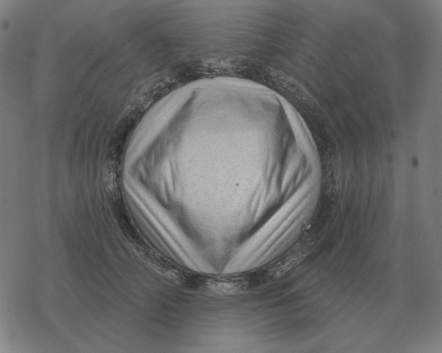 X0000077320706200611101458