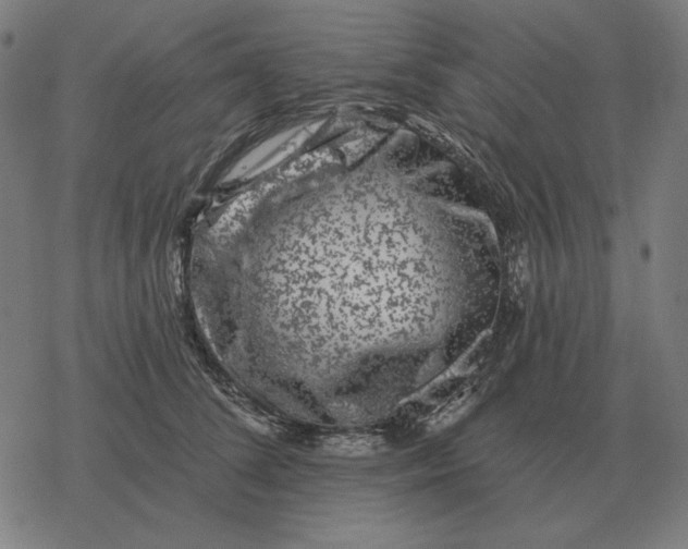 X0000077320708200611101458