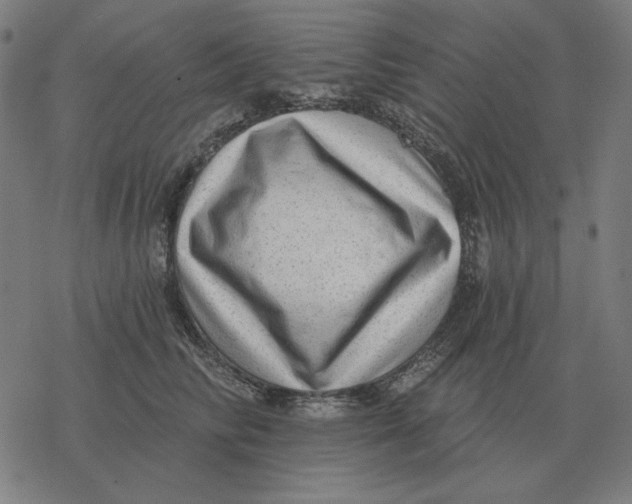 X0000077320710200611101458