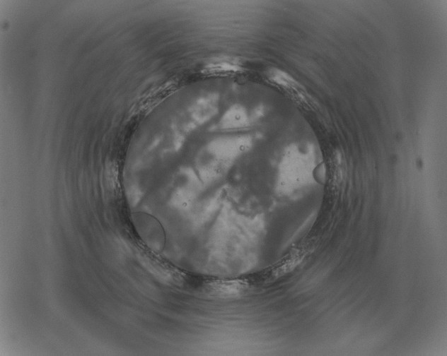 X0000077320711200611101458