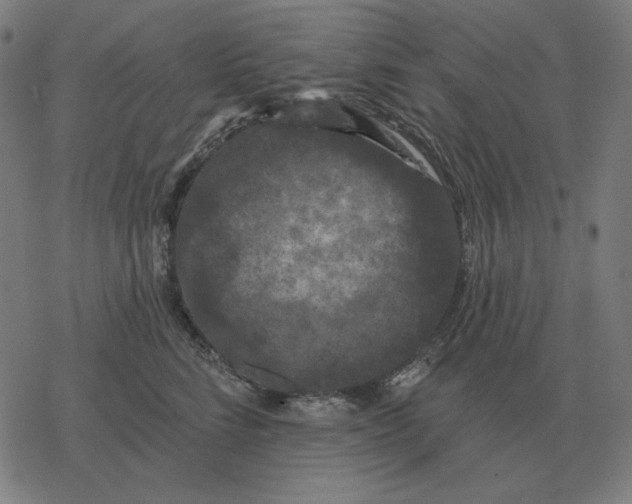 X0000077320712200611101458