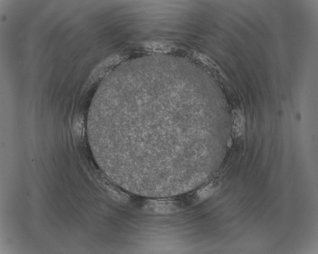 X0000077320713200611101458