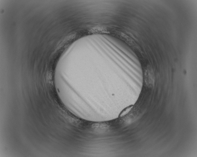 X0000077320714200611101458