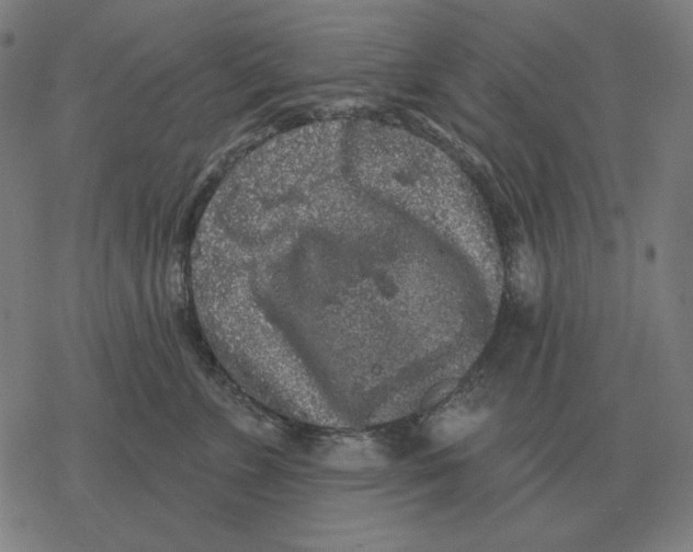 X0000077320715200611101458