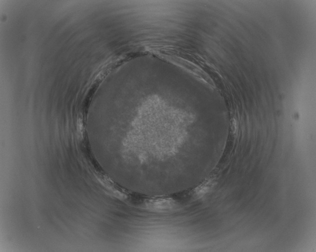 X0000077320716200611101458