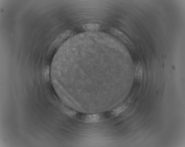 X0000077320717200611101458