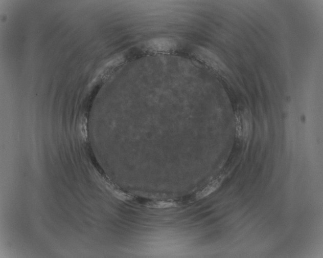 X0000077320718200611101458