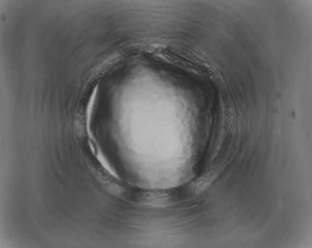 X0000077320719200611101458