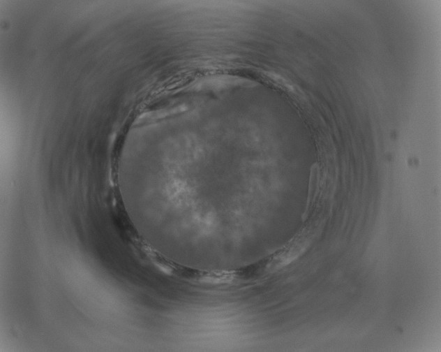 X0000077320720200611101458