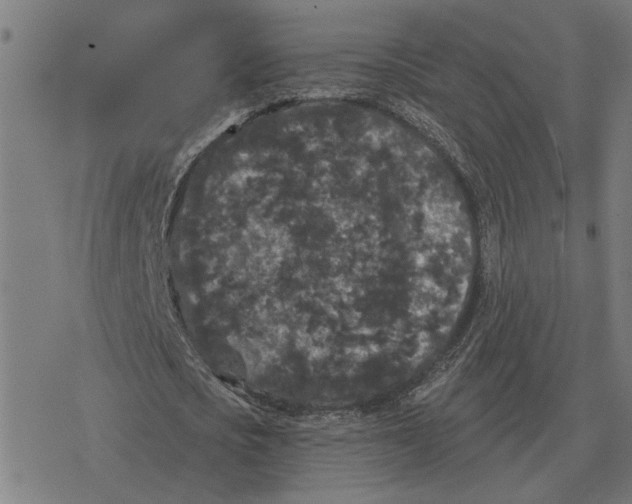 X0000077320721200611101457