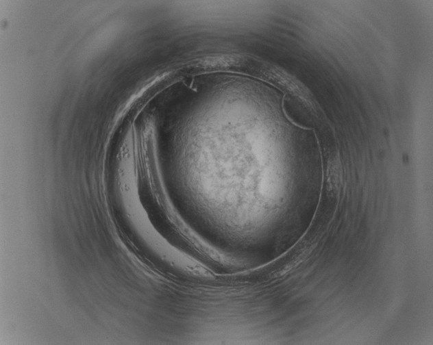 X0000077320722200611101457