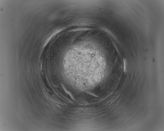 X0000077320723200611101457