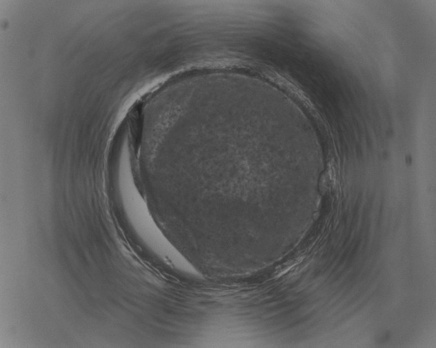 X0000077320724200611101457