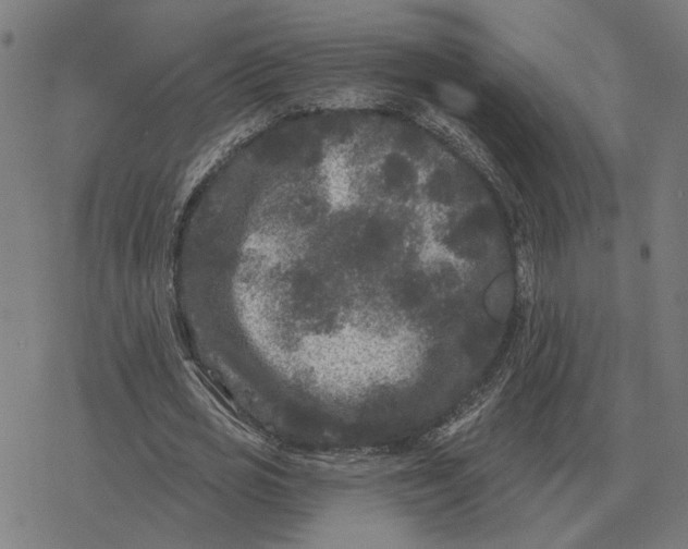 X0000077320725200611101457