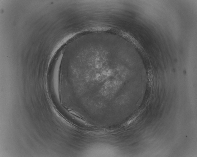 X0000077320726200611101457