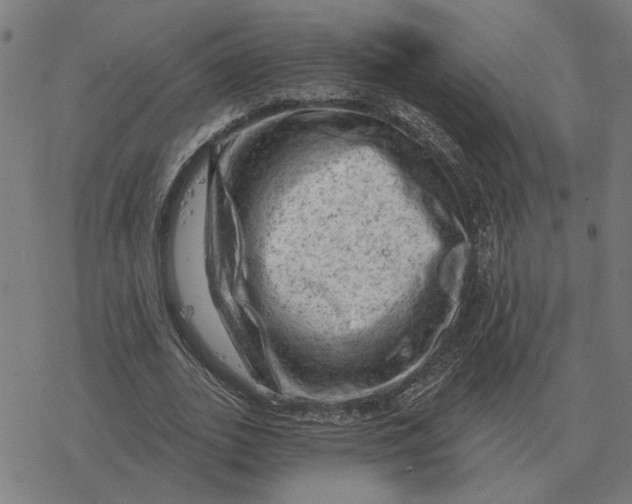 X0000077320727200611101457