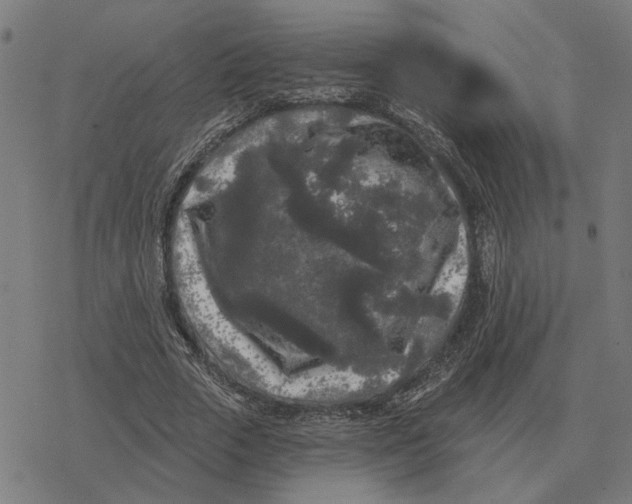 X0000077320729200611101457