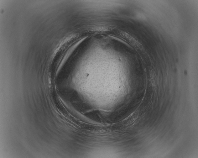 X0000077320731200611101457