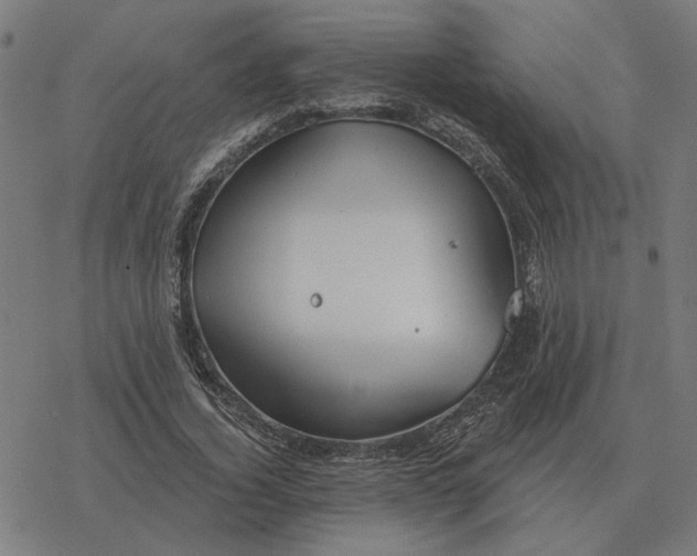 X0000077320732200611101457