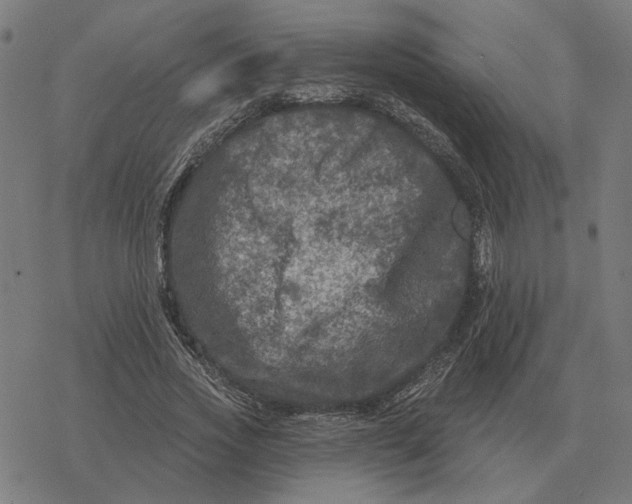 X0000077320733200611101457