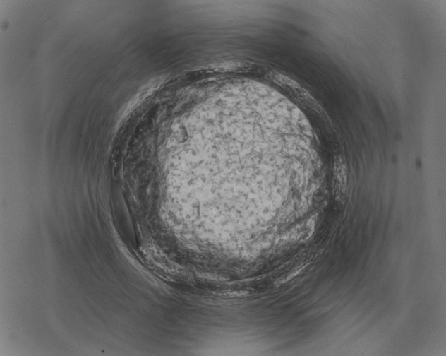 X0000077320734200611101457