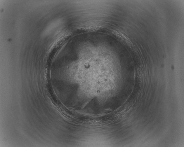 X0000077320735200611101457