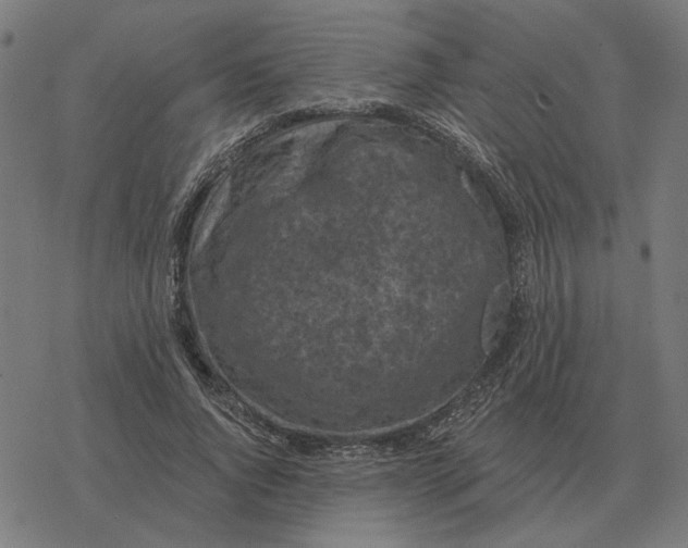 X0000077320736200611101457