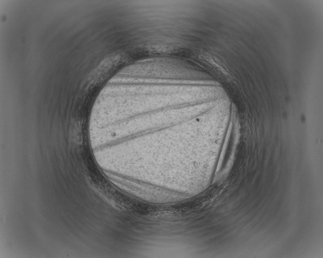 X0000077320738200611101457