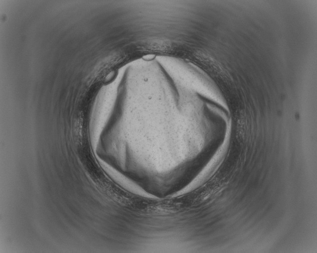 X0000077320739200611101457