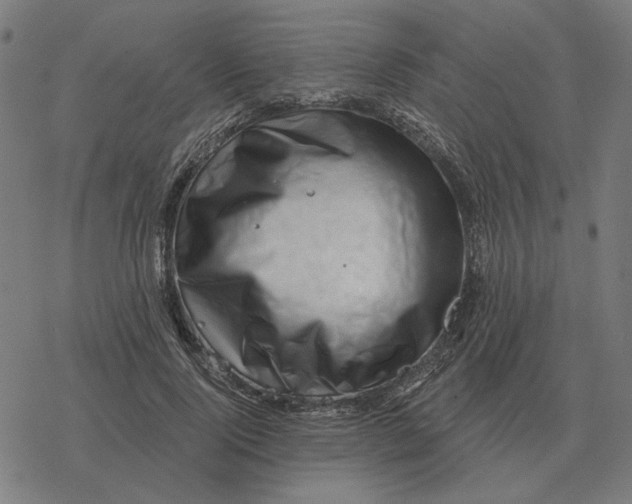 X0000077320740200611101457